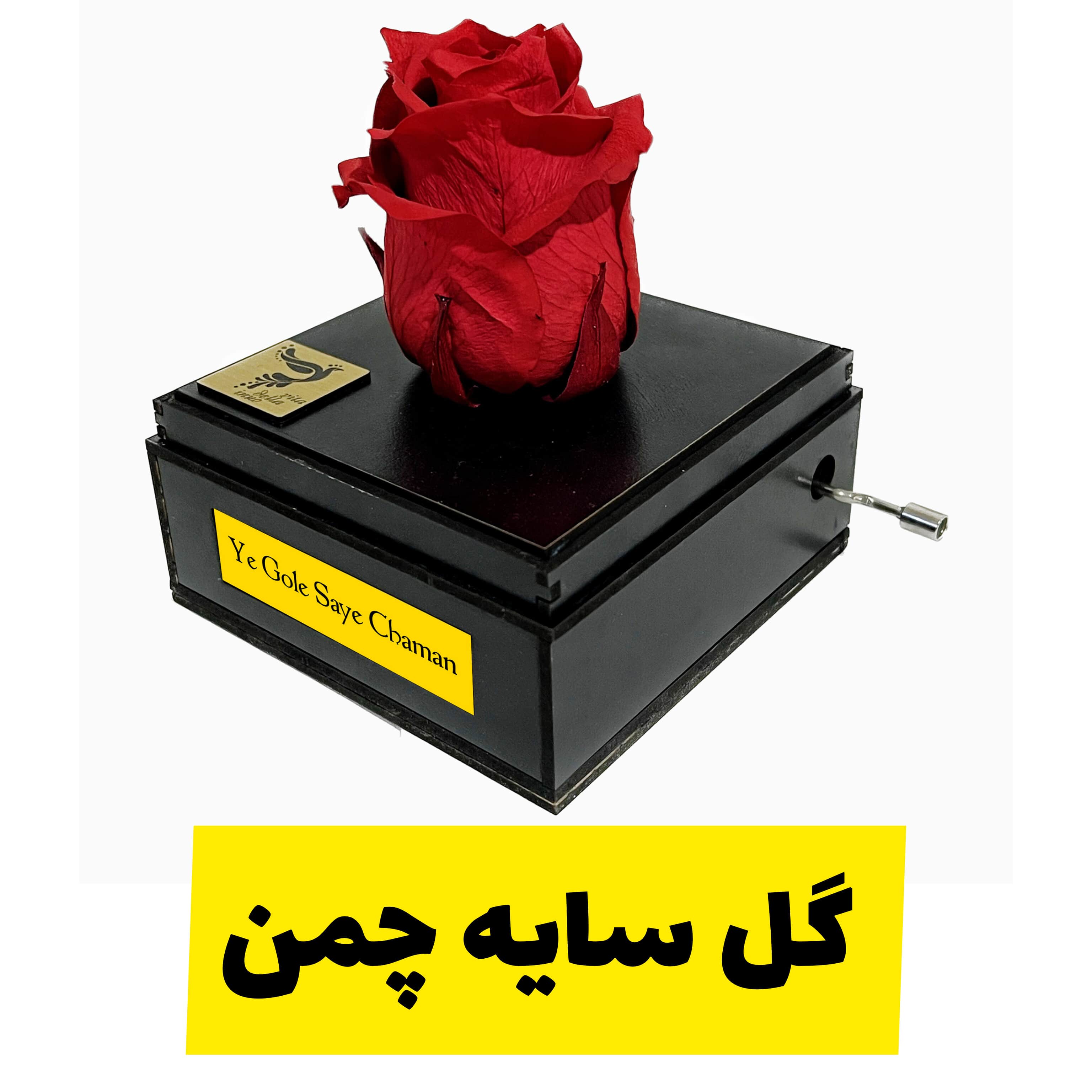 گل رز جاودان موزیکال ملودی یه گل سایه چمن برند اینو دلا ویتا به همراه ساک دستی