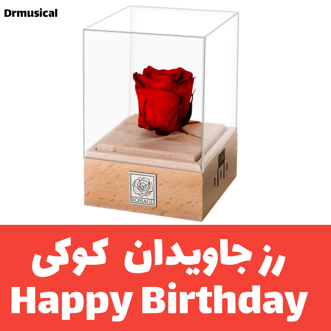 گل رز جاودان روسیج rossage ملودی Happy Birthday با ماندگاری ۷ سال