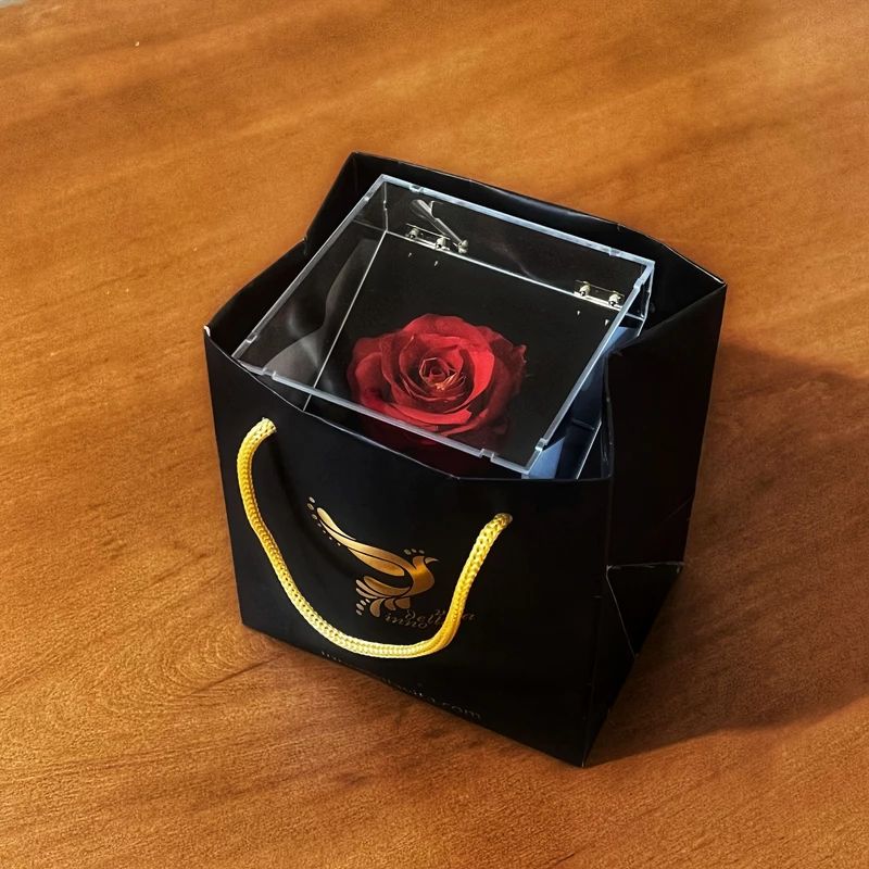 تصویر کوچک 3